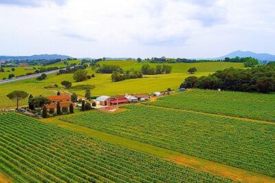 Romantic Vespa Tour and Wine Tasting - Val d’Orcia vs Lake Trasimeno: how your route choice changes the day