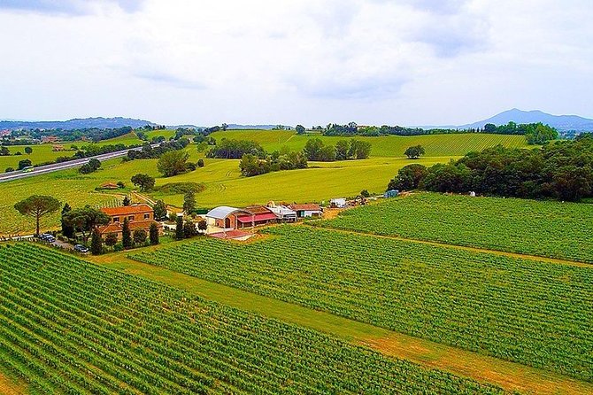 Romantic Vespa Tour and Wine Tasting - Val d’Orcia vs Lake Trasimeno: how your route choice changes the day
