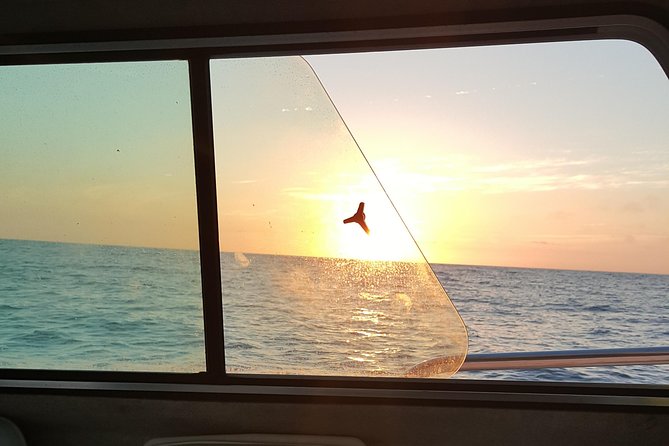 Romantic Wine and Cheese Boat Tower Cruise - Why Mission Bay sunset is the right kind of romantic