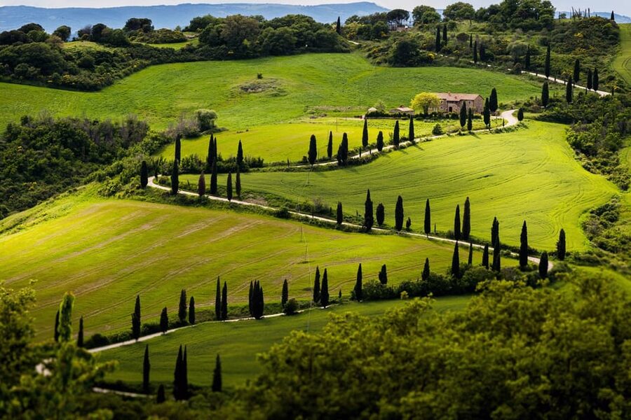 ROMANTIC WINE TOUR FOR 2 - Wine Tour in Chianti (Tuscany) - Second Winery: More Than Glasses, With a Time-Travel Feeling