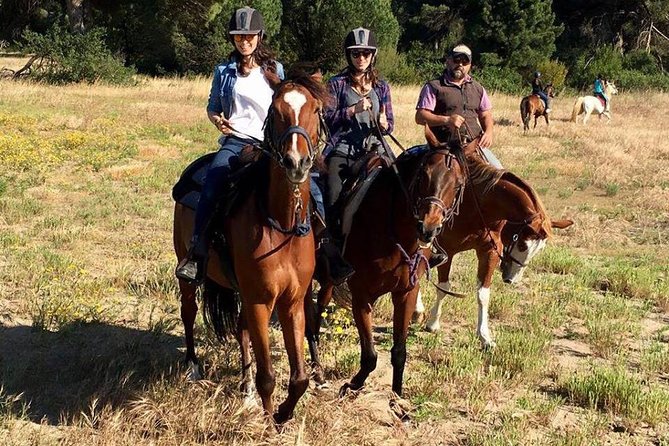 Rome : Horseback Riding with meals and wine included - Your First Ride: A Lesson That Actually Helps