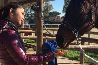Rome : Horseback Riding with meals and wine included - Cavalieri di Gaia, Viale dei Romagnoli, and How You’ll Get There