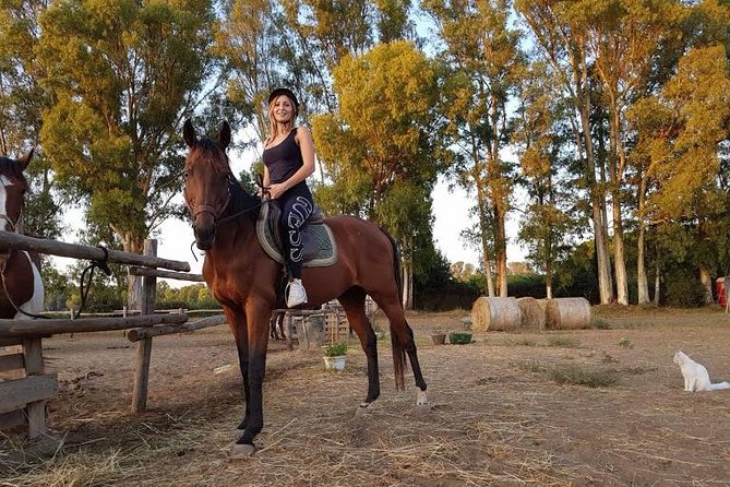 Rome : Horseback Riding with meals and wine included - Dinner and Alcohol: What’s Actually Included