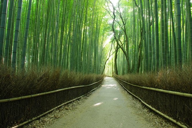 Sagano Romantic Train & Arashiyama, Kiyomizudera, Fushimi Inari Taisha Day Tour - Kyoto’s Big Names, Without the Transfer Headaches from Osaka