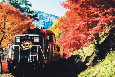 Sagano Romantic Train & Arashiyama, Kiyomizudera, Fushimi Inari Taisha Day Tour - Price and Logistics: What You’re Really Paying for (and What You’re Not)
