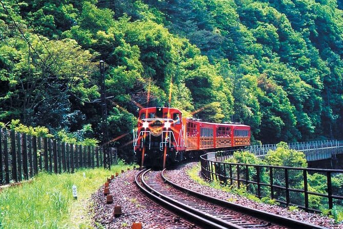 Sagano Romantic Train & Arashiyama, Kiyomizudera, Fushimi Inari Taisha Day Tour - Timing, Crowds, and Walking: How to Set Yourself Up for a Smooth Day