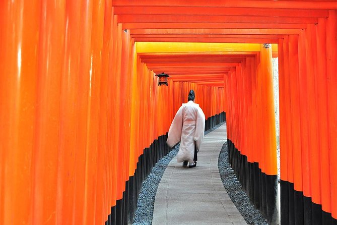 Sagano Romantic Train & Arashiyama, Kiyomizudera, Fushimi Inari Taisha Day Tour - Lunch Choices: The Japanese Feast Option (and the Vegetarian Reality Check)
