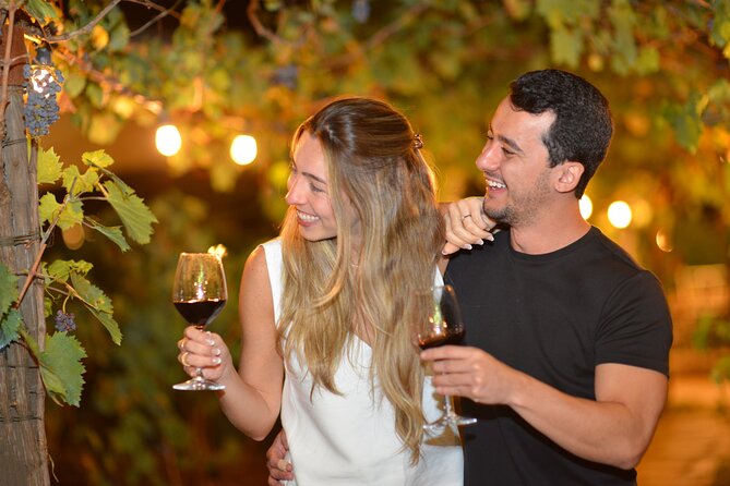 San Gimignano Romantic Dinner in the Vineyards - The wine school part: vertical tasting plus olive oil and balsamic
