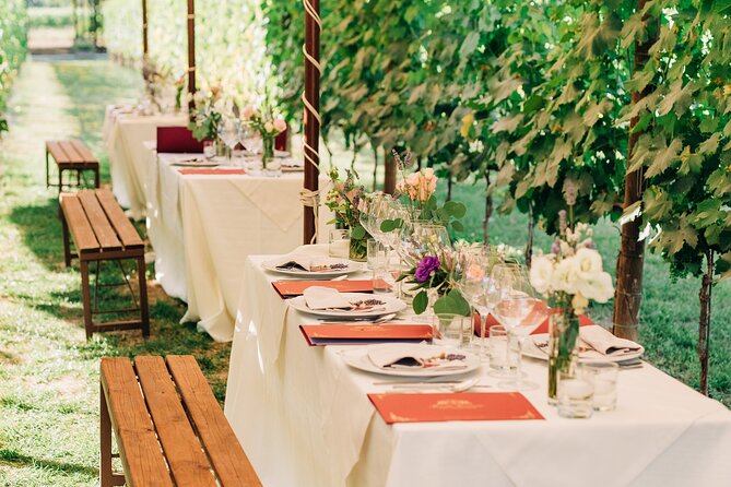San Gimignano Romantic Dinner in the Vineyards - Dietary needs, English, and the details you can control