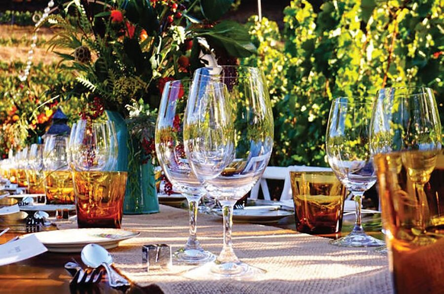 San Gimignano: Romantic Vineyard Dinner - Quick Hits: What You’ll Notice Right Away