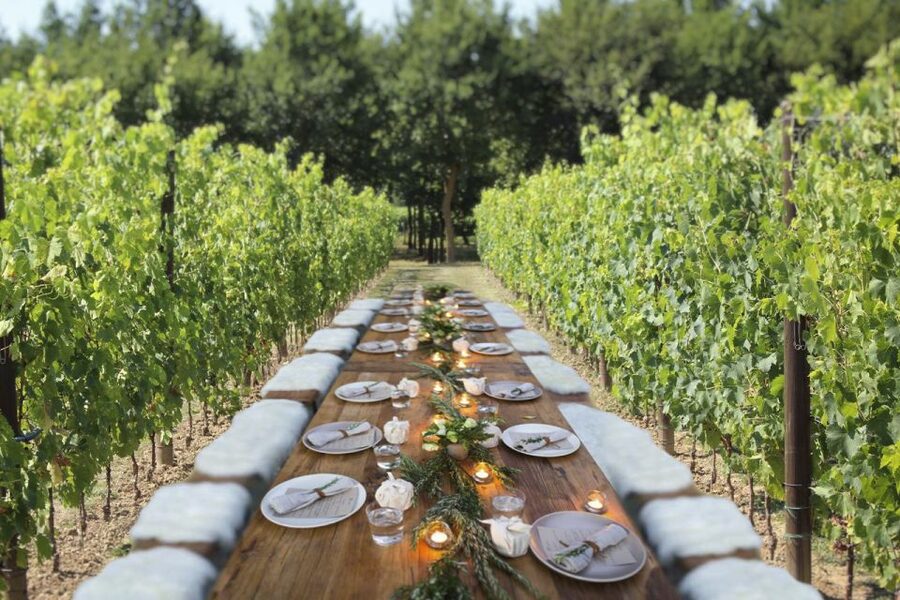 San Gimignano: Romantic Vineyard Dinner - The Wine Tasting Lesson: What the Expert Actually Helps You Taste