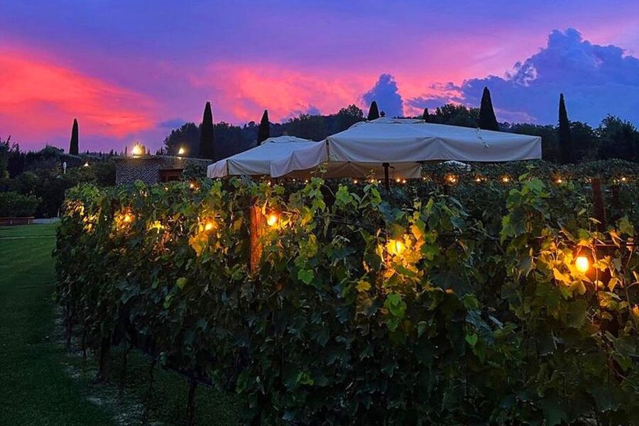 San Gimignano: Romantic Vineyard Dinner - The Traditional Tuscan Dinner: Cozy, Vineyard-Side, and Made for Pairing
