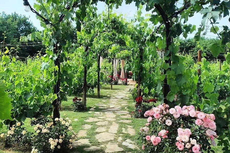 San Gimignano: Romantic Vineyard Dinner - Logistics That Matter: Getting There, Parking, and Weather