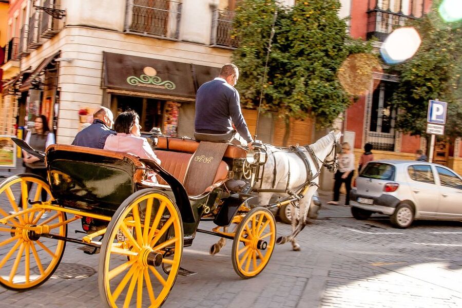 Seville: Authentic and Romantic Horse-Drawn Carriage Ride - A Quick Loop Around Seville’s Most Photogenic Corners