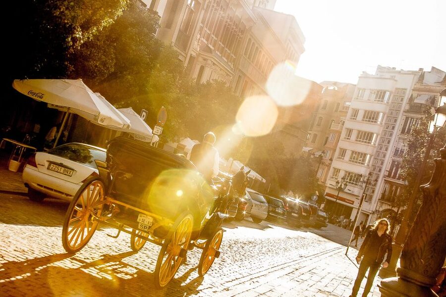Seville: Authentic and Romantic Horse-Drawn Carriage Ride - Parque María Luisa: Where the Ride Turns Romantic