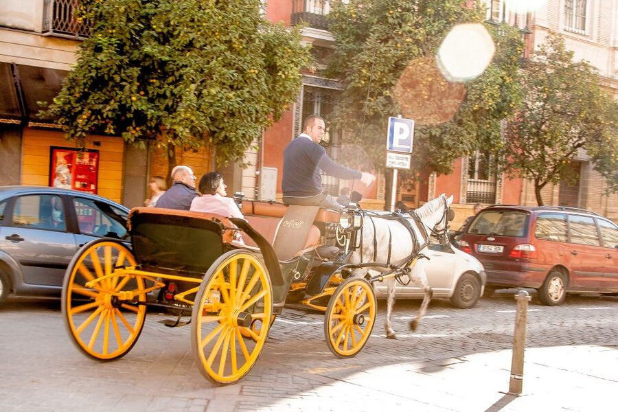 Seville: Authentic and Romantic Horse-Drawn Carriage Ride - Triana Neighborhood: Seeing Seville Through Local Streets