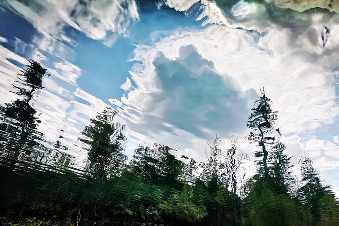 Split to Zagreb or airport Zagreb via Plitvice lakes for singles or couples - The ride itself: a 2019 Toyota hybrid and a calm private group