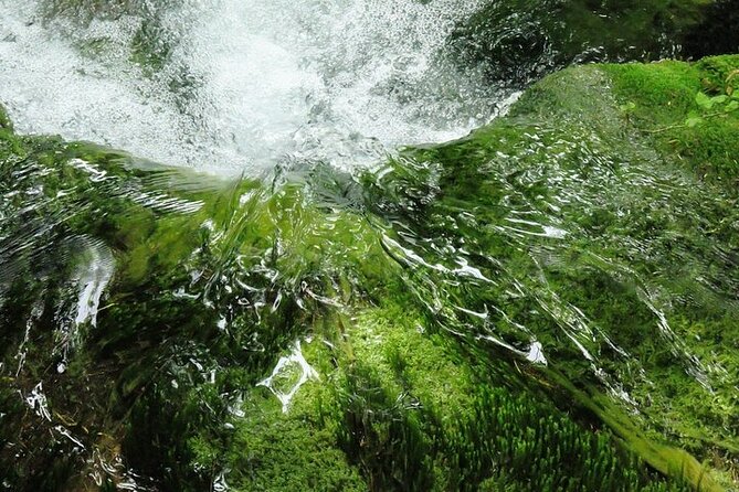 Split to Zagreb or airport Zagreb via Plitvice lakes for singles or couples - Timing and expectations: a full day, not a quick hop
