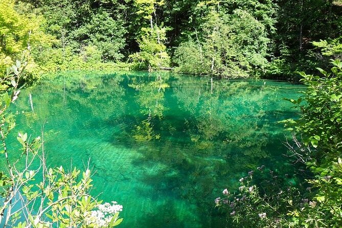 Split to Zagreb or airport Zagreb via Plitvice lakes for singles or couples - Real talk on the drivers: communication and flexibility matter