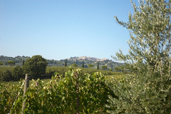 Think of a romantic meal in the Olive Trees shade, accompanied by Tuscan wines! - Olive Trees, Tuscan Wines, and the Kind of Calm You Can’t Schedule