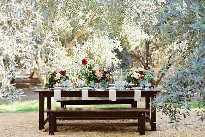 Think of a romantic meal in the Olive Trees shade, accompanied by Tuscan wines! - Price and Value: Where the Money Goes