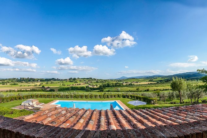 Think of a romantic meal in the Olive Trees shade, accompanied by Tuscan wines! - Who Should Book This (And Who Might Want a Different Style of Wine Stop)