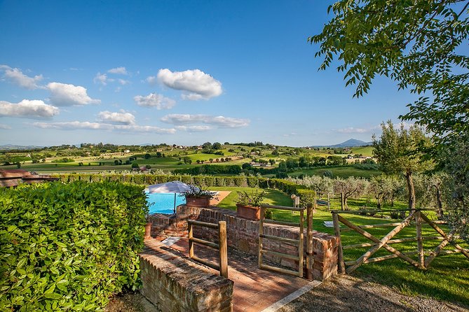 Think of a romantic meal in the Olive Trees shade, accompanied by Tuscan wines! - Should You Book Agriturismo Sanguineto’s Olive Grove Meal?
