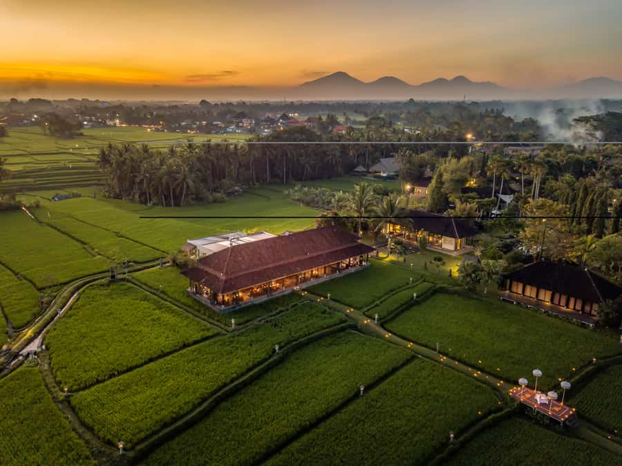 Ubud: Romantic Dinner among the Rice Fields - The 5-Course Taster Menu (With Sparkling Wine) That Makes the Price Make Sense