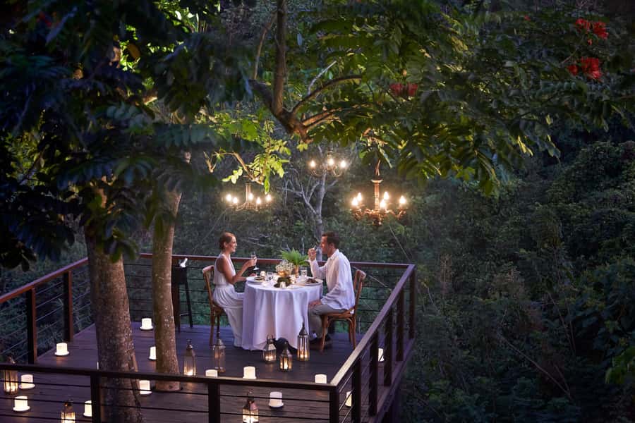 Ubud: Romantic Dinner on a Forest Tree Deck - Key highlights you’ll care about