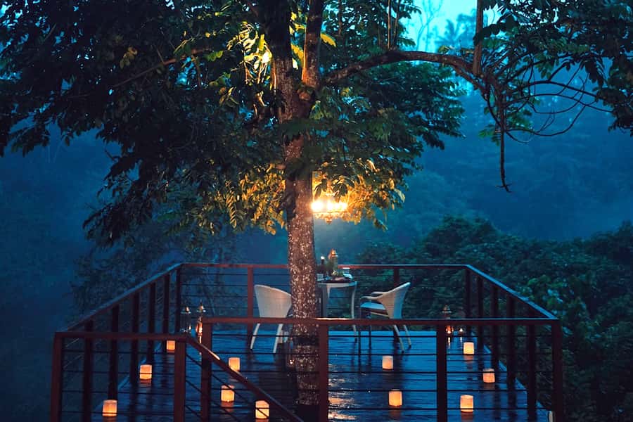 Ubud: Romantic Dinner on a Forest Tree Deck - The Deck Experience: Starlight Waiting, River Sound, and Candle Glow