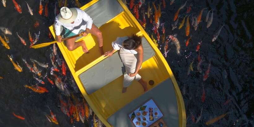Ubud: The Original Koi Fish Yellow Boat Photo Moment - Timing in Ubud: when your hour feels best