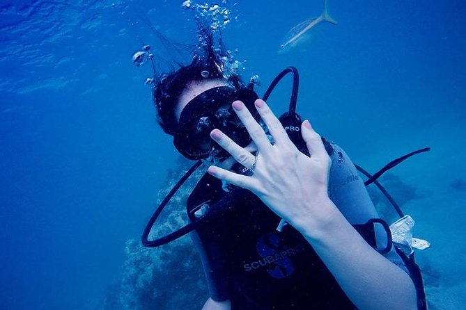 Underwater Marriage Proposal - SeaPro Divers Check-In and the Afternoon Timing