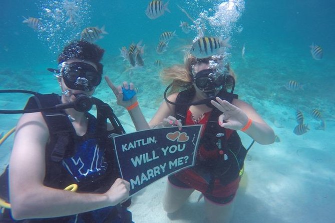 Underwater Marriage Proposal - Champagne Toast, Then a Cruise Along the Palm-Studded Coast