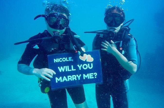 Underwater Marriage Proposal - Price and Value: Is $800 Worth It?