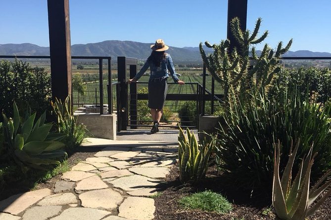 Valle de Guadalupe Couples Wine Tour - Valle de Guadalupe for Couples: The Real Appeal