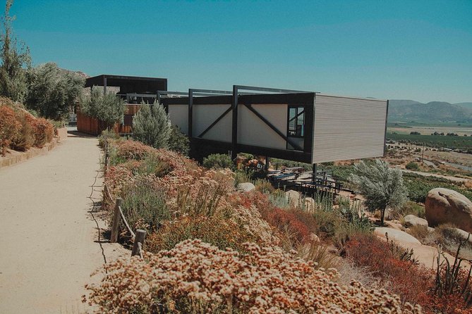 Valle de Guadalupe Couples Wine Tour - Stop 2: Adobe Guadalupe Vineyards + Food Truck Break
