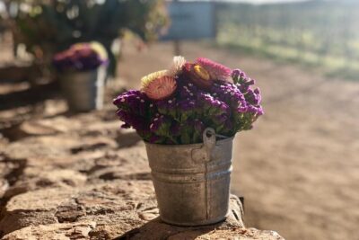 Valle de Guadalupe Couples Wine Tour - Stop 1: Villa Montefiori and an Old-World Start
