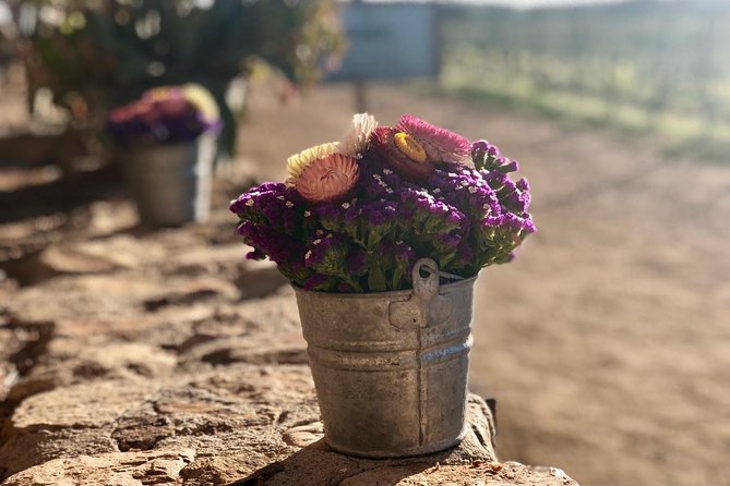 Valle de Guadalupe Couples Wine Tour - Stop 1: Villa Montefiori and an Old-World Start