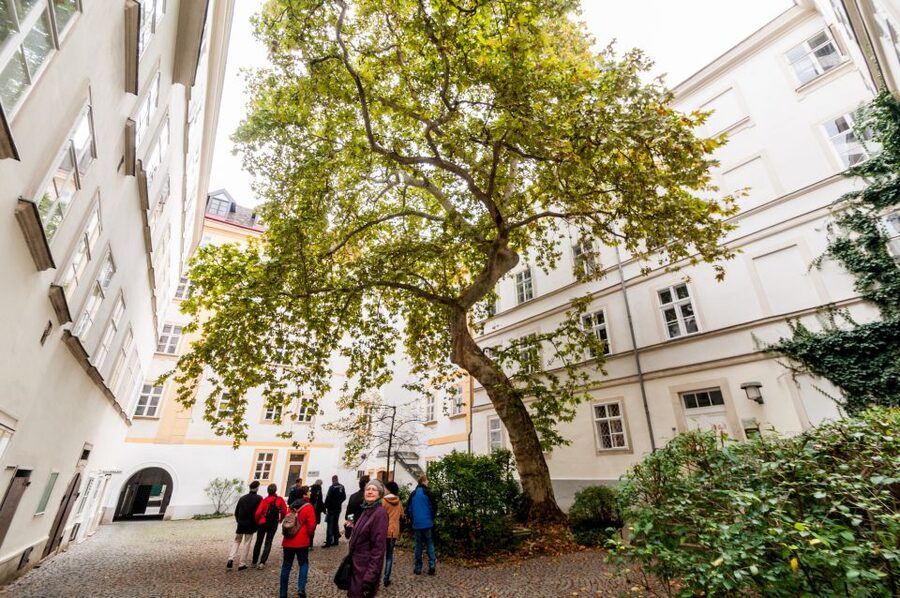 Vienna: Romantic Old Town 2-Hour Discovery Tour - What you’ll likely get from the guide (and where a mismatch can happen)
