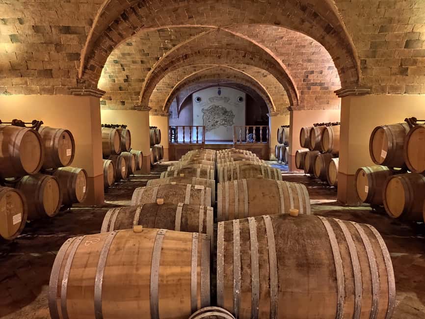 Wine tasting in a romantic castle with archaeologist guide - Meeting in Bibbona and the drive that sets the mood