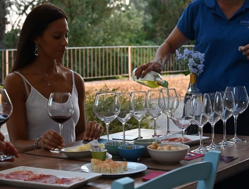 Wine tasting in a romantic castle with archaeologist guide - Value check: why $73 per person can work