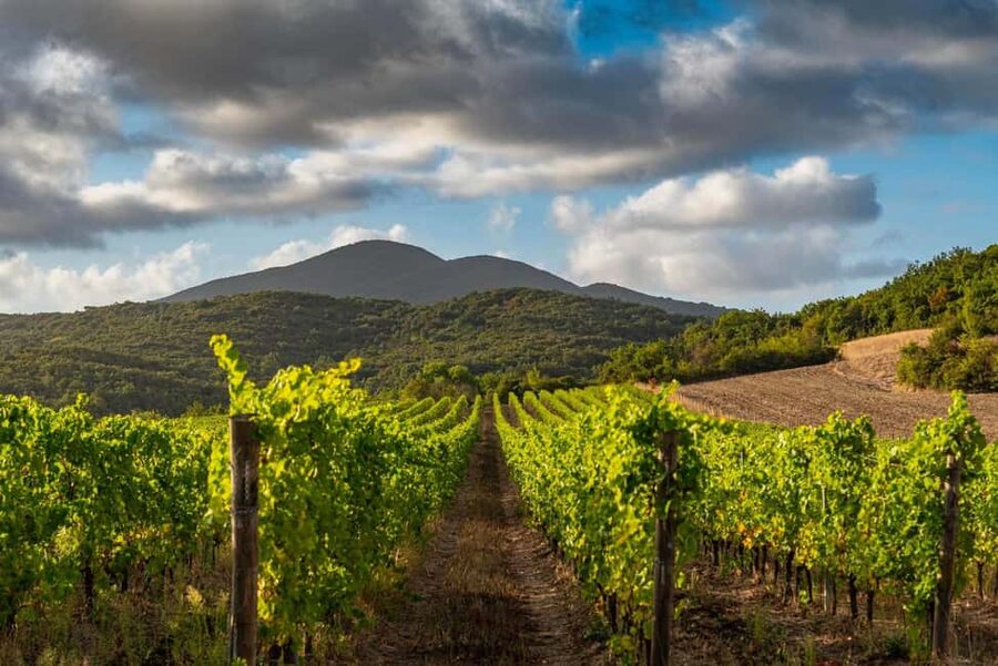 Wine tasting in a romantic castle with archaeologist guide - Should you book this wine tasting in a romantic castle?